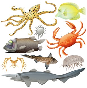 海洋生物