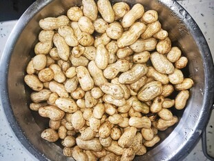 盆中饱满的新鲜花生仁