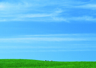 广阔绿野上的蔚蓝天空