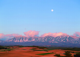 夕阳下的雪山与广袤原野