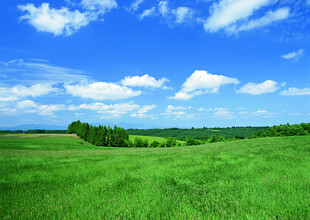 广袤绿野上的蓝天白云
