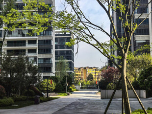 现代小区优美景观步道