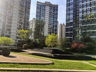 城市中的静谧绿化景观