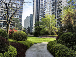 城市中的静谧花园小径