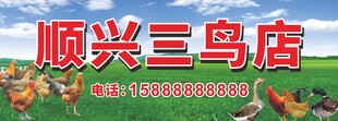 顺兴三鸟店招牌展示