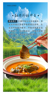红烧甲鱼  甲鱼煲