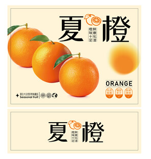 橙子 夏橙水果包装
