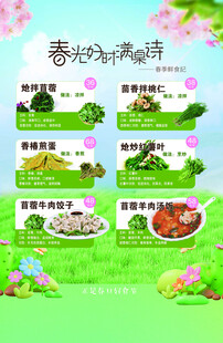 时令野菜海报