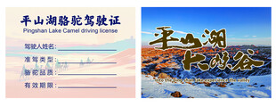 骆驼驾驶证