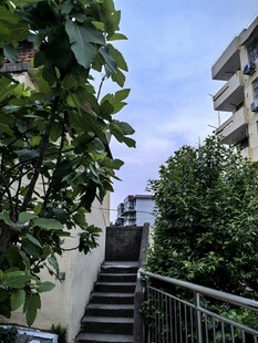 绿植环绕的户外楼梯