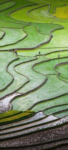 美丽梯田景观