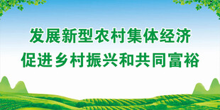 发展新型农村集体经济
