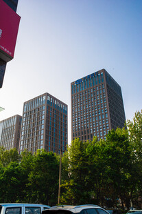城市高楼与绿树景观