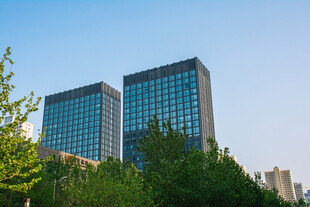 城市中双子高楼与绿树