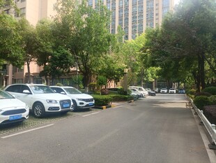 城市路边停放的整齐车辆