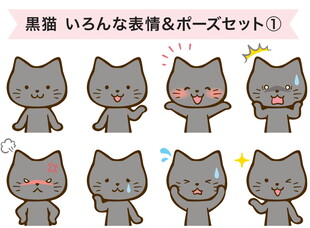 卡通猫表情包 图片
