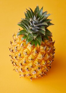 黄色背景上的新鲜菠萝