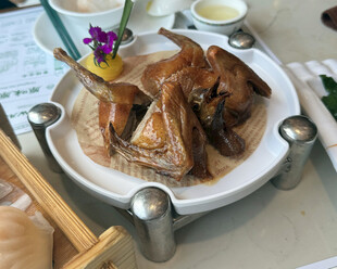 烤乳鸽