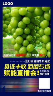 活动海报