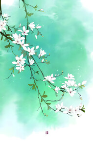 水墨风枝头绽放的白花朵