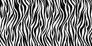 黑白斑马纹图案纹理