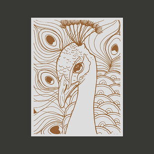 孔雀线条艺术插画