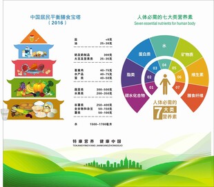 膳食宝塔