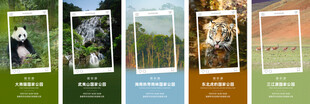 景区景点直播海报