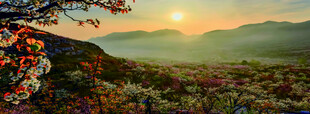 山间日出美景