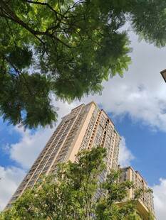 高楼耸立绿树间