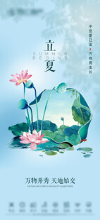 立夏 荷花 夏天 