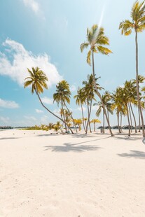 海滩