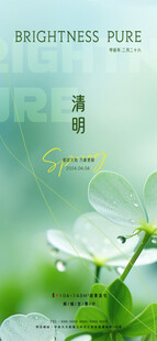 清新绿叶露珠自然美景