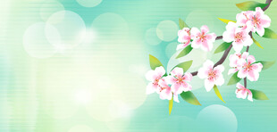 春日烂漫花枝背景