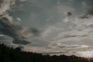 天空与树林