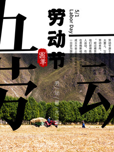 劳动场景展现奋斗力量