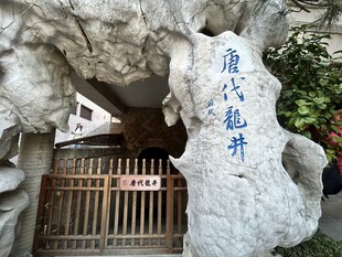 龙井