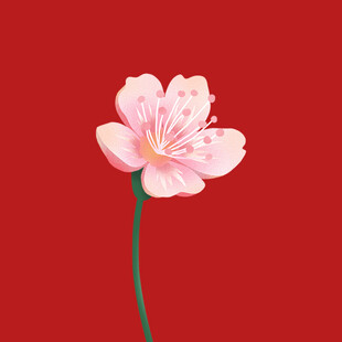 粉色花朵