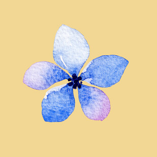 水彩绘蓝色小花