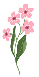 粉色小花插画