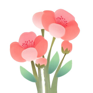 粉色花卉插画