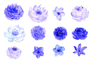 水彩绘蓝色花卉集合