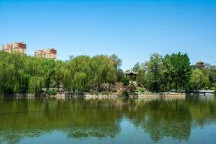 湖畔绿树蓝天美丽景致