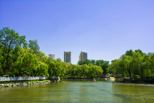 河畔绿树环绕的城市风光