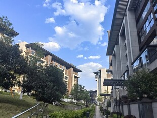 城市街道旁的建筑与蓝天