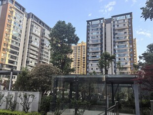 现代高层住宅区景观