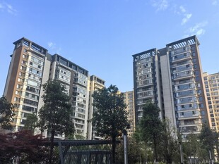 城市高层住宅区景观