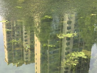 水中倒映的城市建筑景观