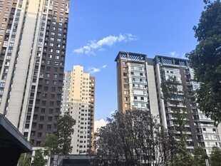 城市高楼与蓝天绿树景观