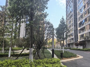小区内的绿化景观道路